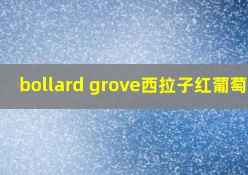 bollard grove西拉子红葡萄酒